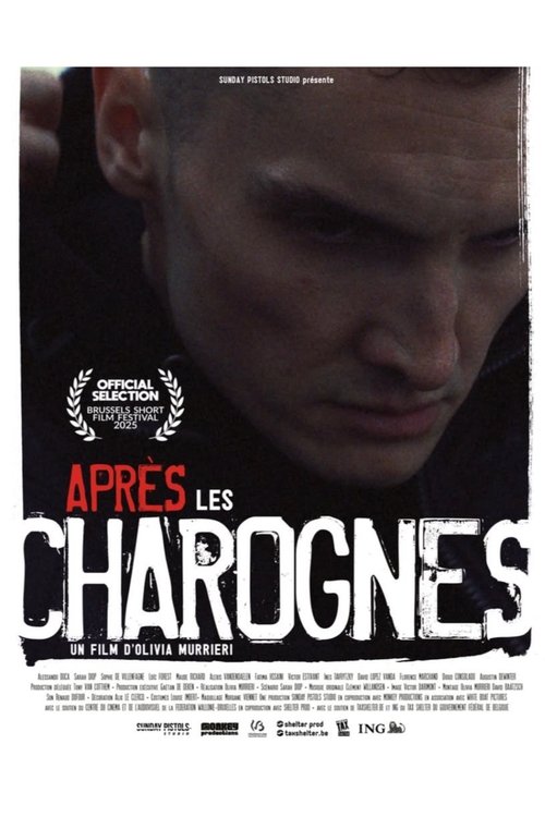 Après les charognes