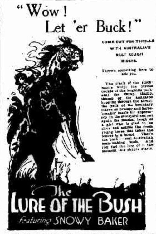 The Lure of the Bush