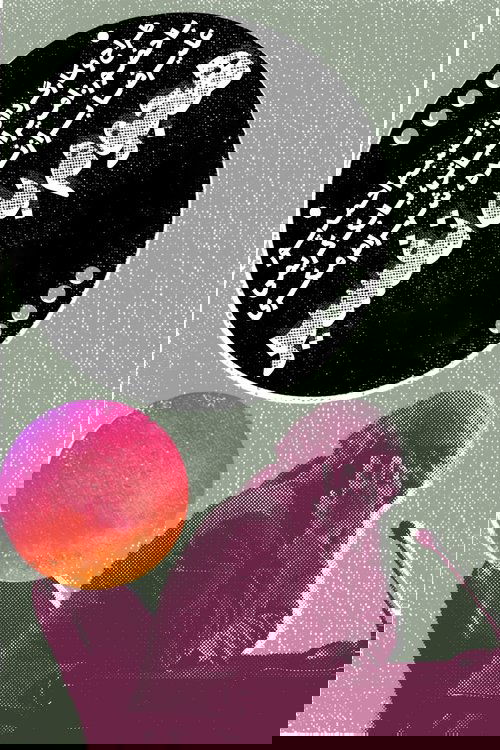 Invasion To Interpretation