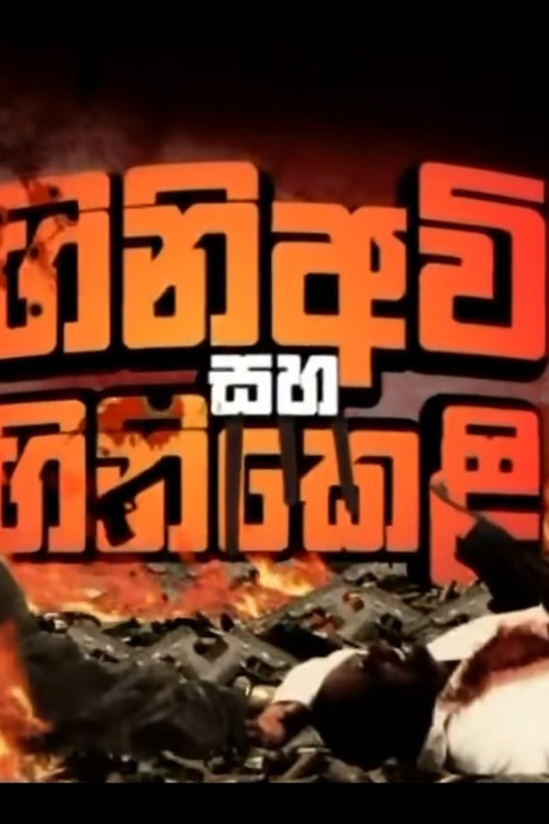 Firearms and Fireworks