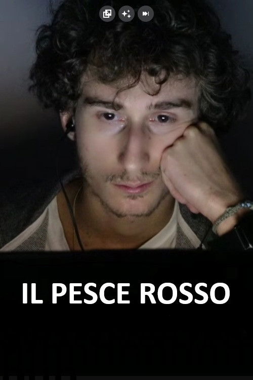 Il Pesce Rosso