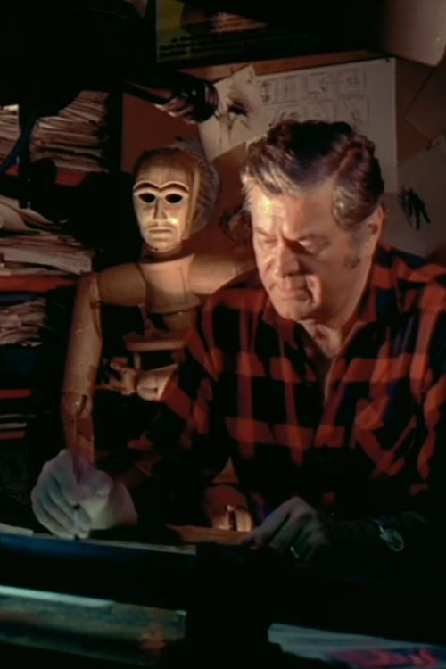 The Apprentice Wizard