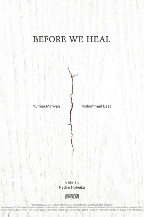Before We Heal