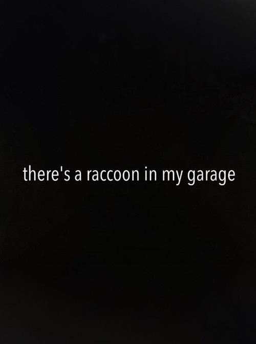 There's a Raccoon in My Garage