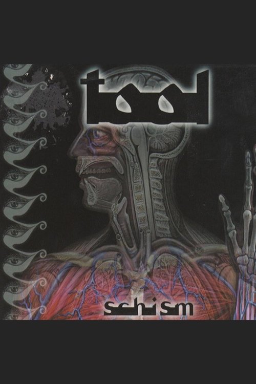 TOOL - Schism