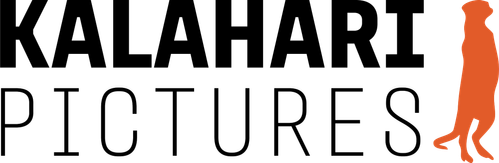 Kalahari Pictures