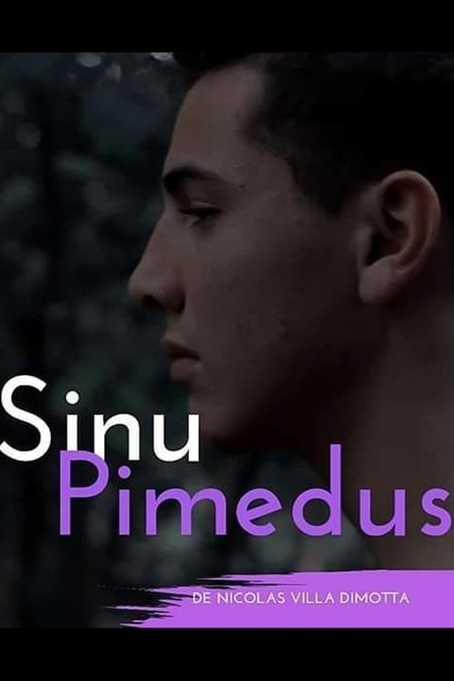 Sinu Pimedus