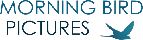 Morning Bird Pictures