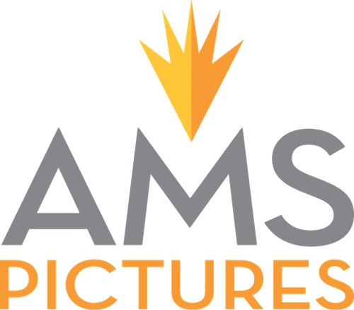 AMS Pictures