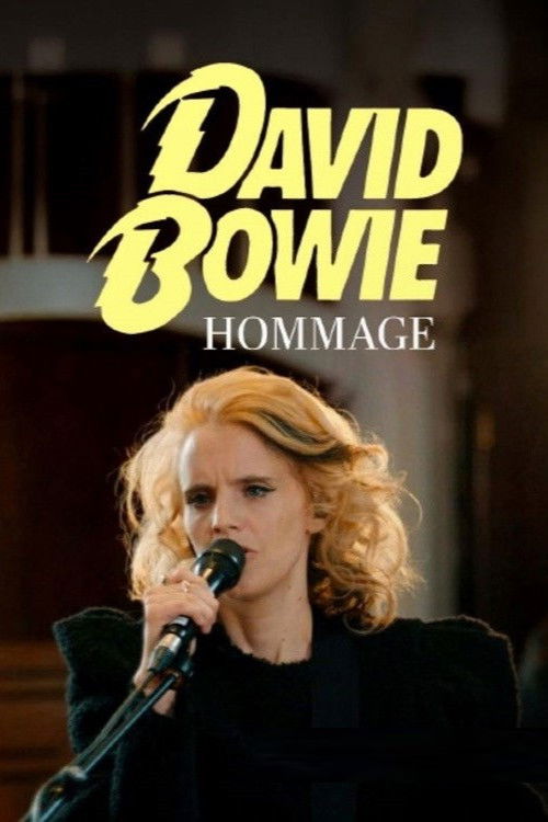 Tribute to David Bowie - Heroes Never Die