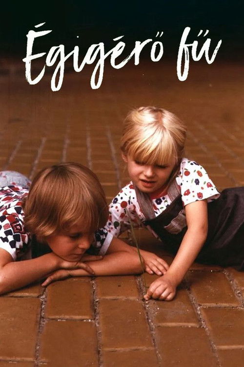 That Lovely Green Grass