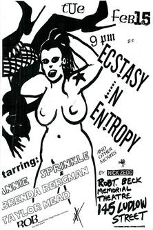 Ecstasy in Entropy