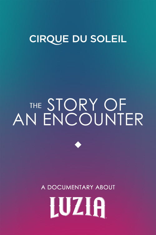 The Story Of An Encounter