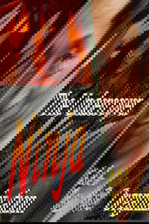 The Undercover Ninja Organization