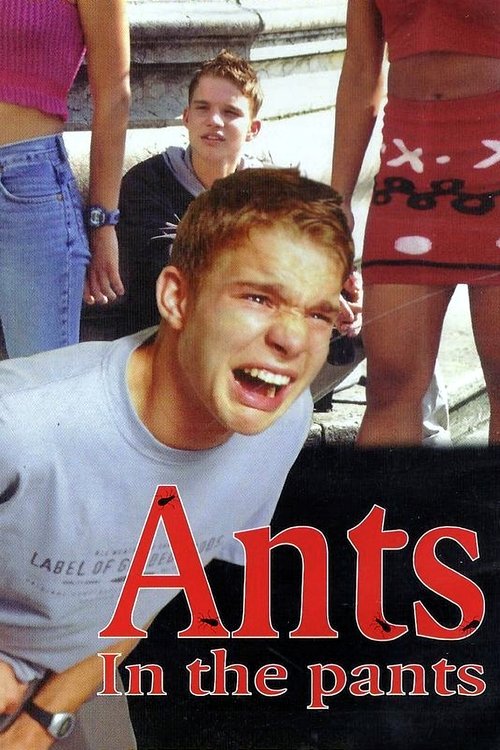 Ants in the Pants