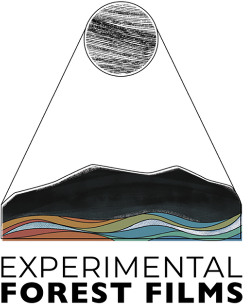 Experimental Forest Films