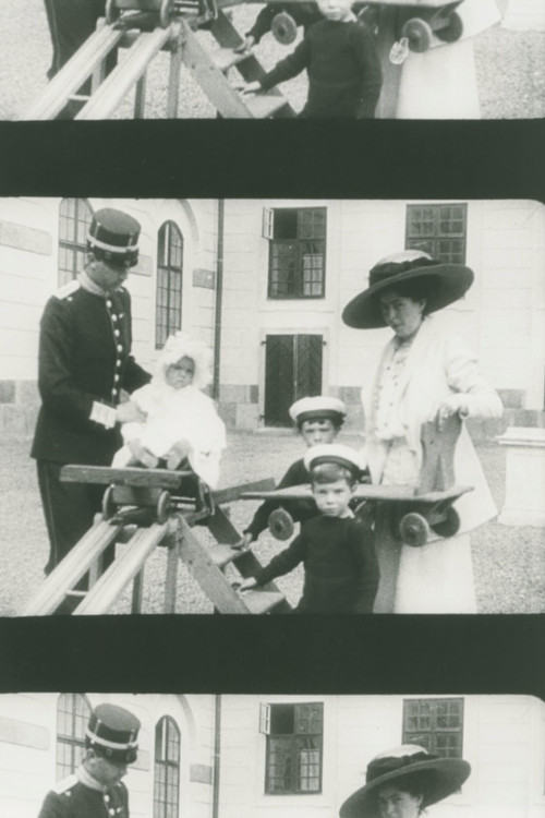 The Crown Prince Couple at Drottningholm