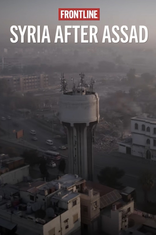 Syria After Assad