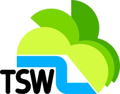 Television South West