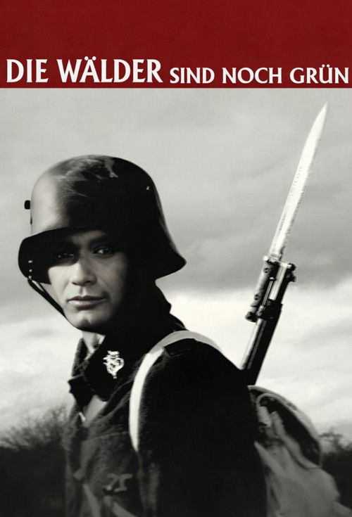 The Woods Are Still Green