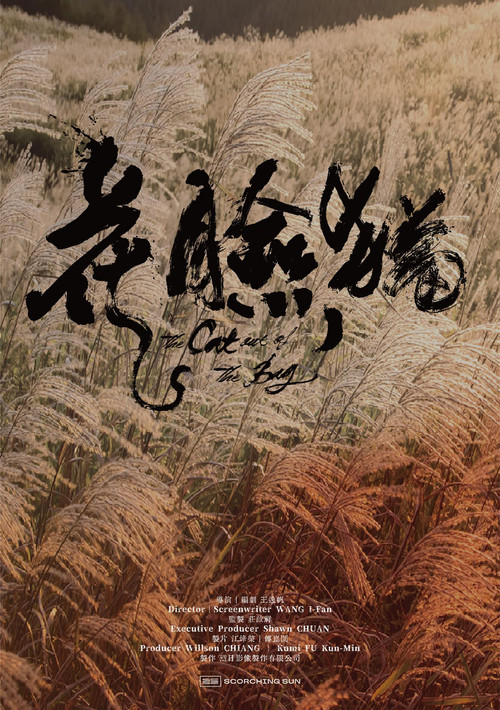 The Scar-faced Cat: Way of Asura