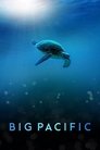 Big Pacific