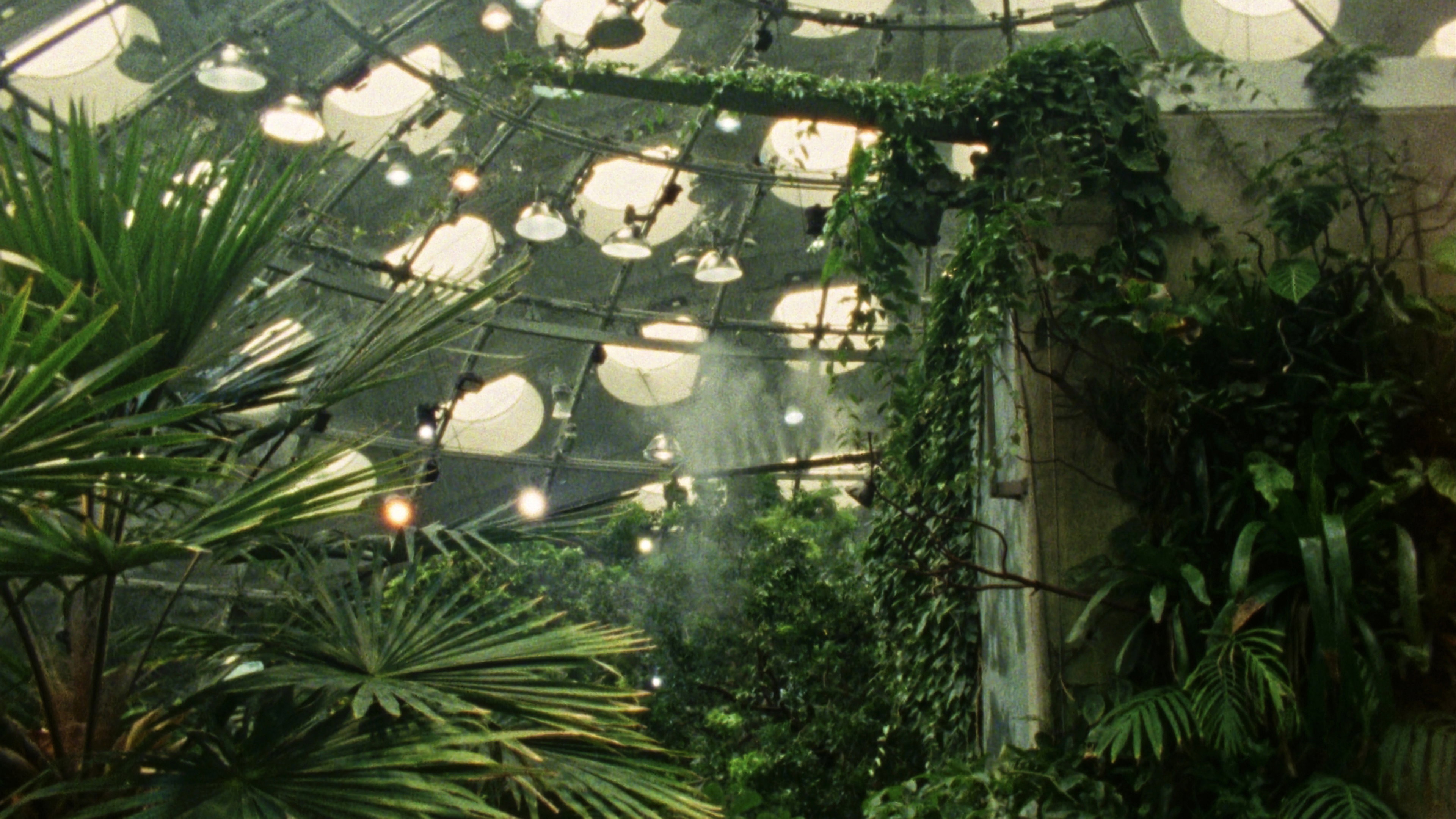 Tropical Fractals