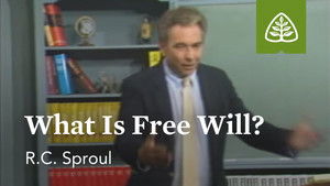What is Free Will?