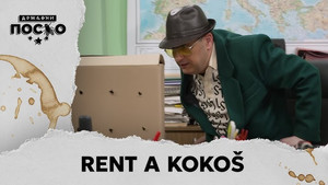 2336 Rent a kokoš