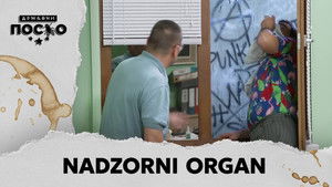 2241 Nadzorni organ