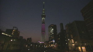 One Tower, Many Lives