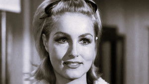 Give an Old Cat a Tender Mouse