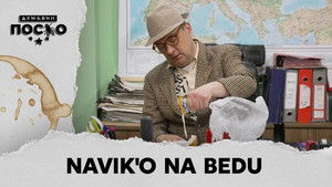 2527 Navik'o na bedu