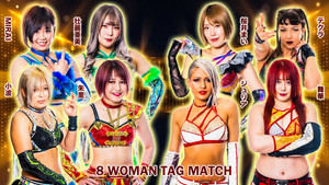 Stardom GoldenWeek Fight Tour 2023 in Fukuyama