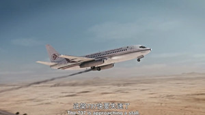 Divided in Crisis (Air Algérie 6289)