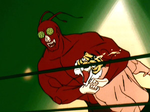 The Strongest Heel on the Earth