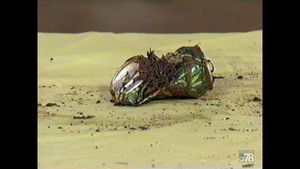 Mountain Dew Can Provides Pleasant Challenge For Appraiser