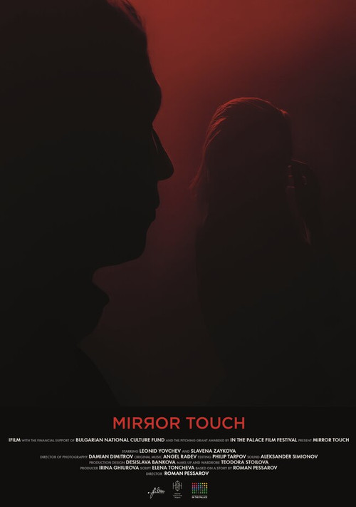 Mirror Touch